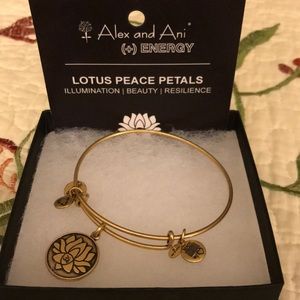 Alex and Ani Energy Bracelet